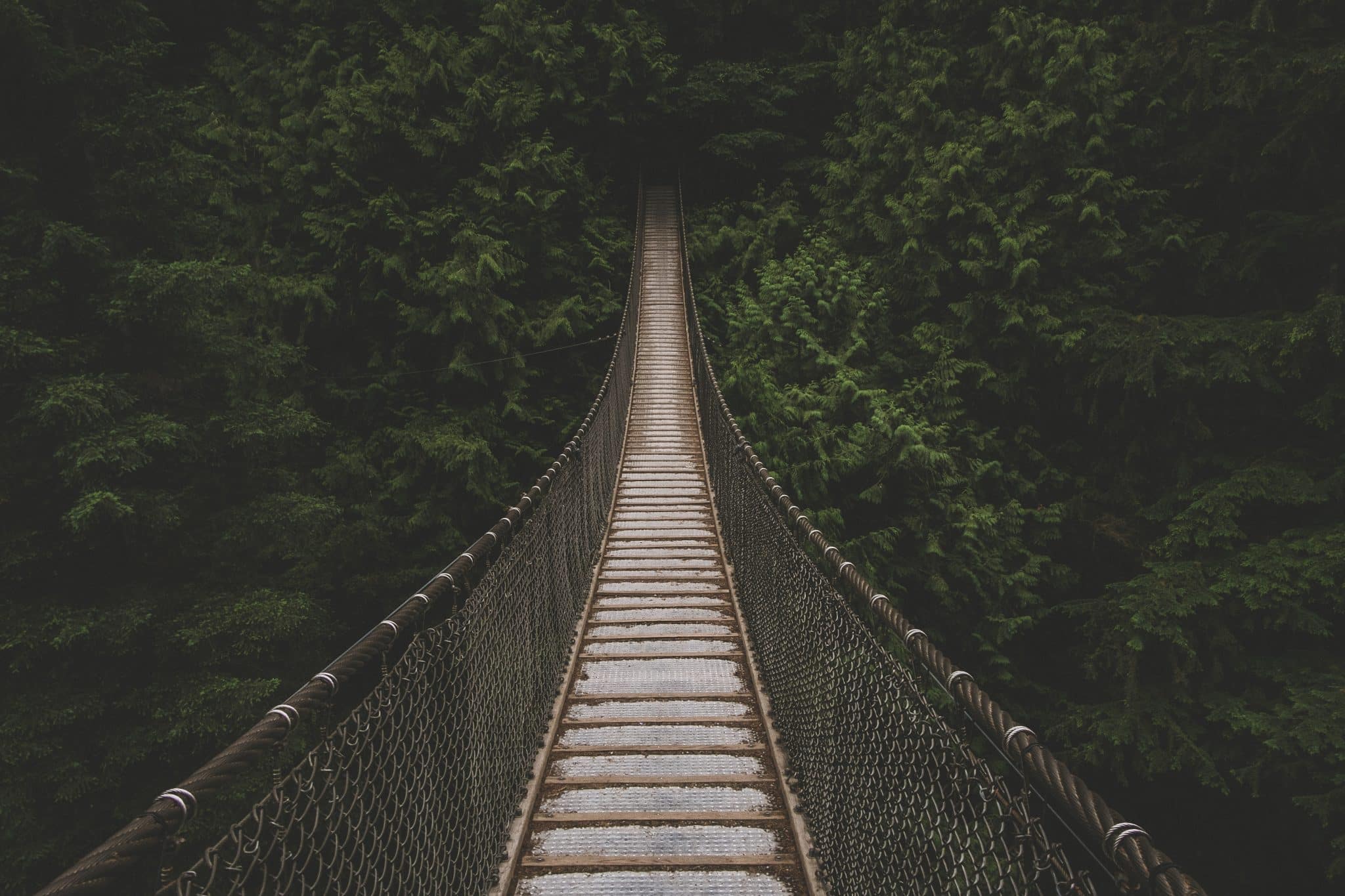 A bridge leading down into a forest.